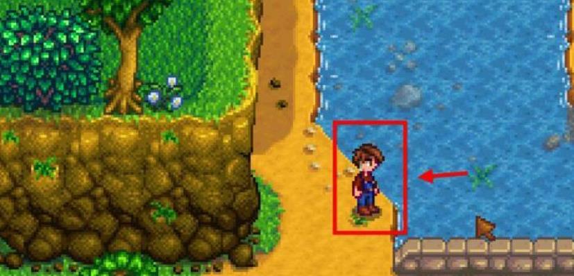 Stardew Valley官方正版