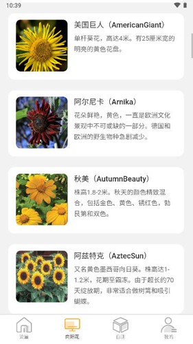 向阳流量