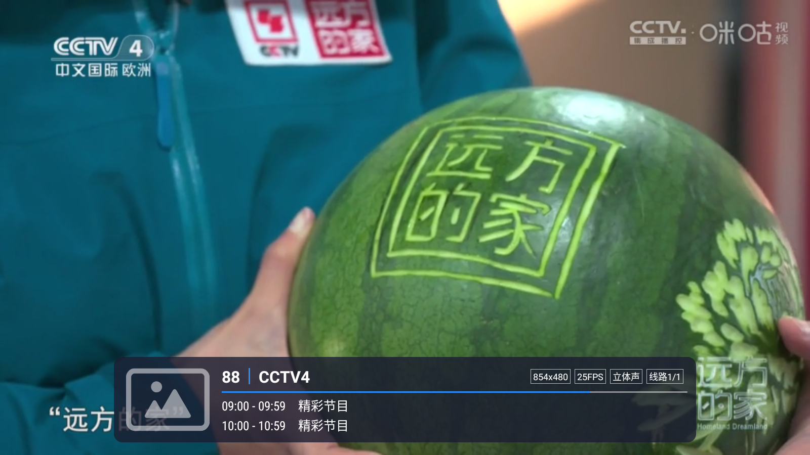 嘉庆TV