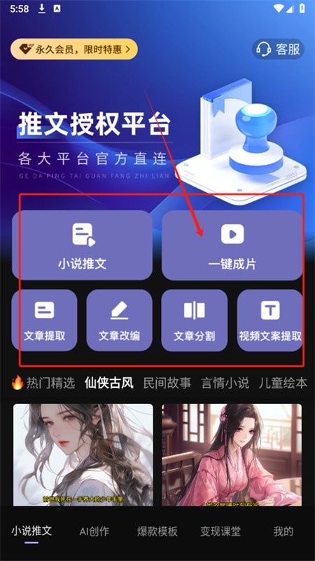 dp小说推文