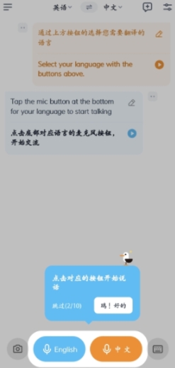 翻译鸥翻译