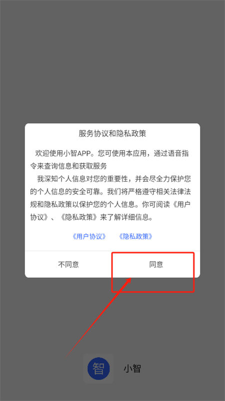 小智