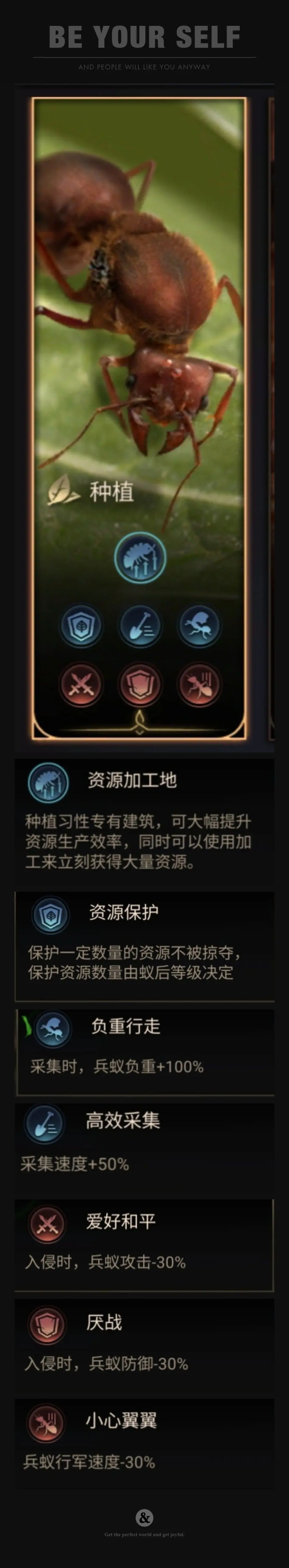 地下蚁国