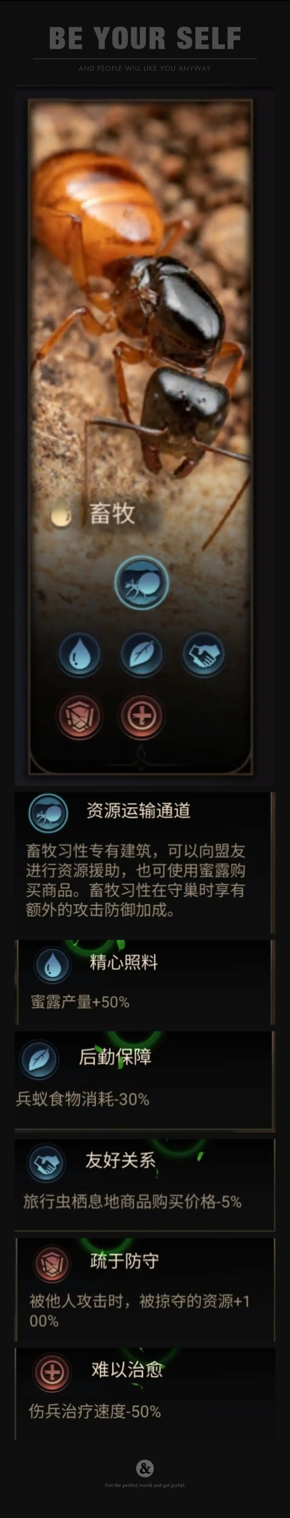 地下蚁国
