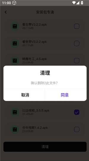 飞星优化大师