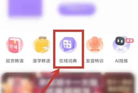 羊驼韩语单词