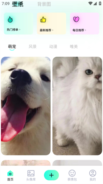 桃子壁纸