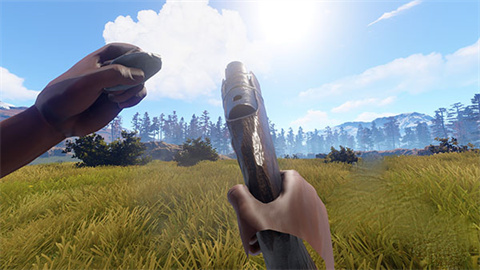 失控进化rust