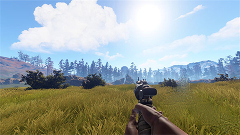失控进化rust