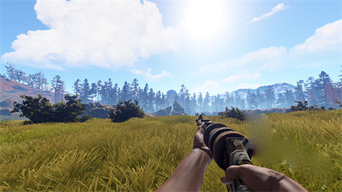 失控进化rust
