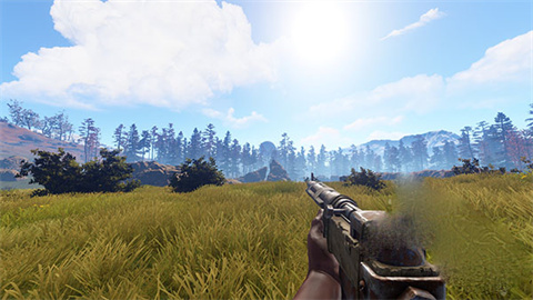 失控进化rust