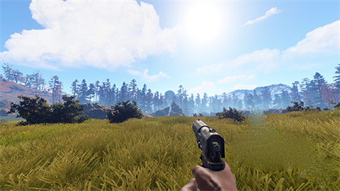 失控进化rust