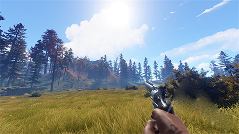 失控进化rust