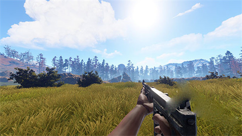 失控进化rust