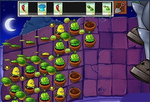 植物大戰(zhàn)僵尸2010版