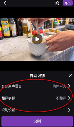 绘影字幕免费版