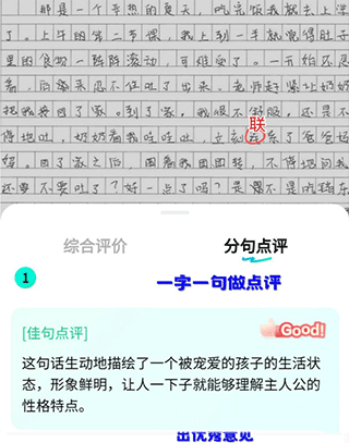 光速写作批改