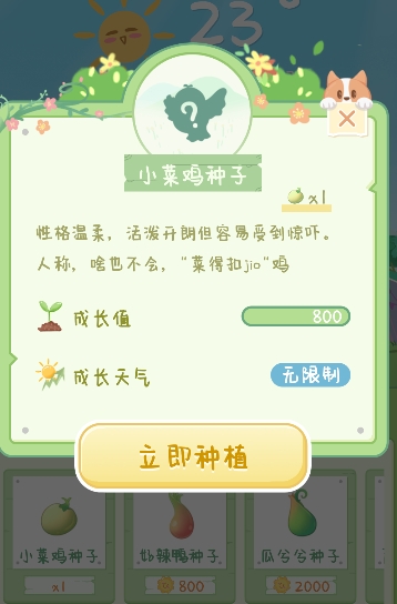 菜宠天气预报