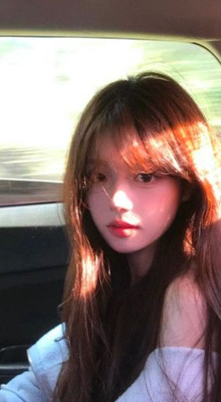 杏花秀