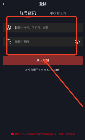 网飞猫NCAT