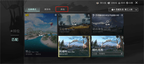 和平精英國際服pubg