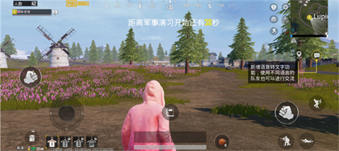 和平精英國際服pubg