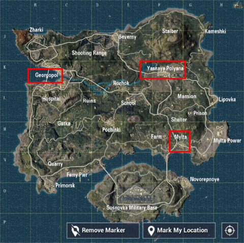 和平精英國際服pubg