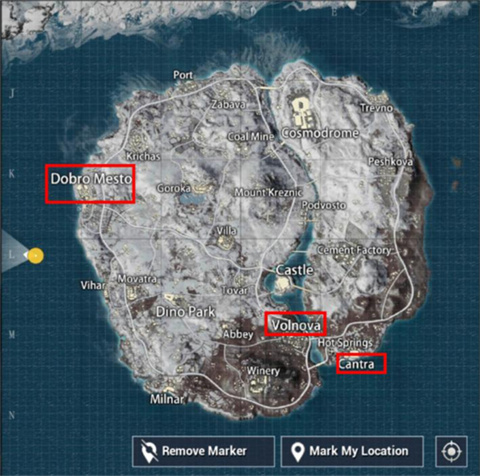 和平精英國際服pubg