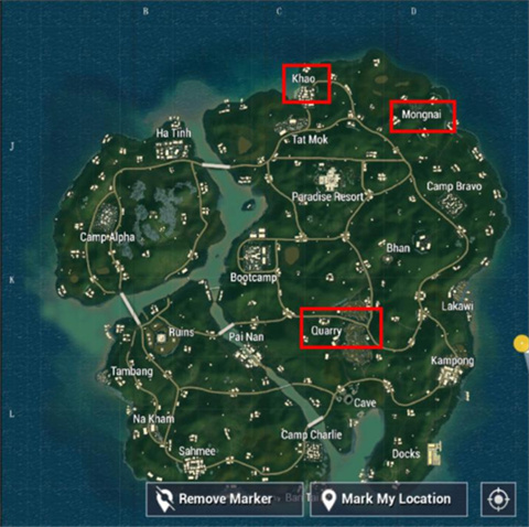 和平精英國際服pubg