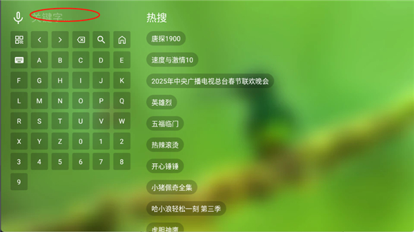 幻彩影视tv