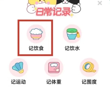 喵轻饮食管理