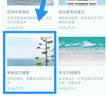 大象冥想