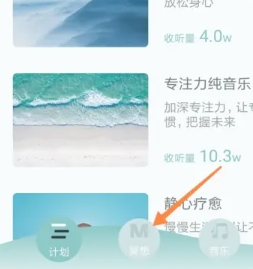 大象冥想