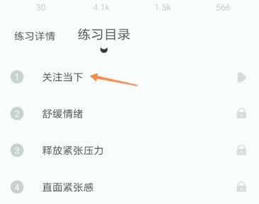 大象冥想