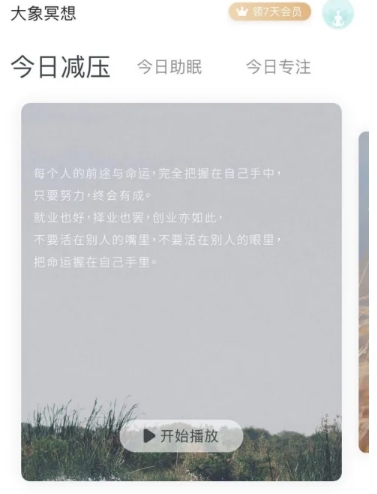 大象冥想