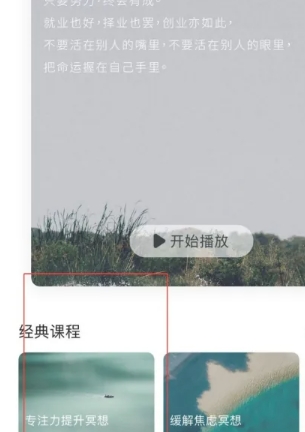 大象冥想