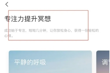 大象冥想