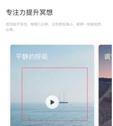大象冥想