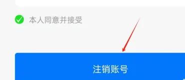 上岸
