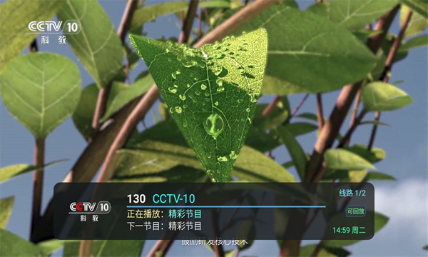 全球直播TV