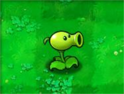 植物大战僵尸tv对战版
