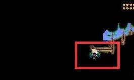 terraria1.4.4.9