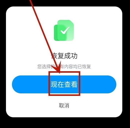丰博士