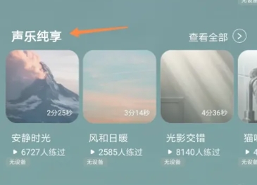 仰憩正念