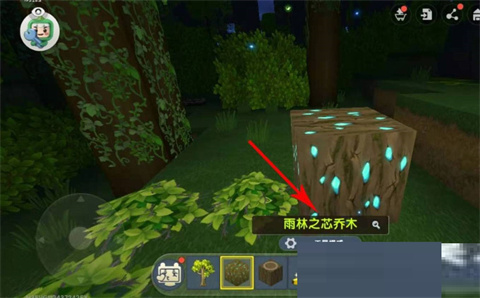 迷你世界雨林版本免登版