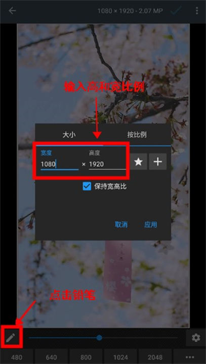 照片编辑器软件