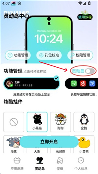 灵动皮肤小组件免费
