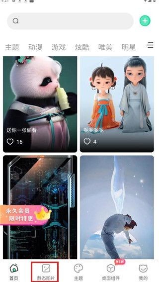 哈屏壁纸软件