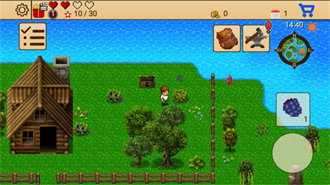 生存RPG5海盗冒险之旅原版