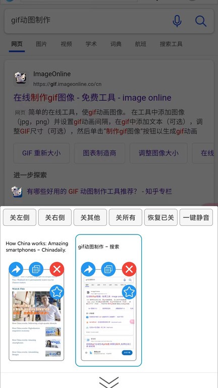 大海浏览器